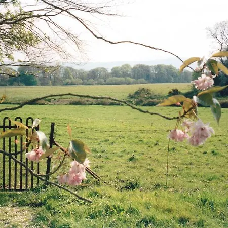 Bayly Farm