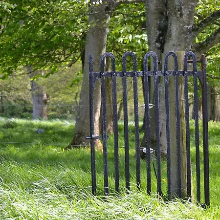 Panzió Bayly Farm Nenagh