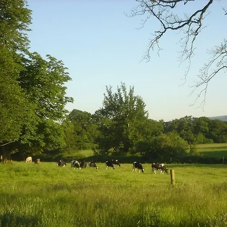 Bayly Farm Nenagh